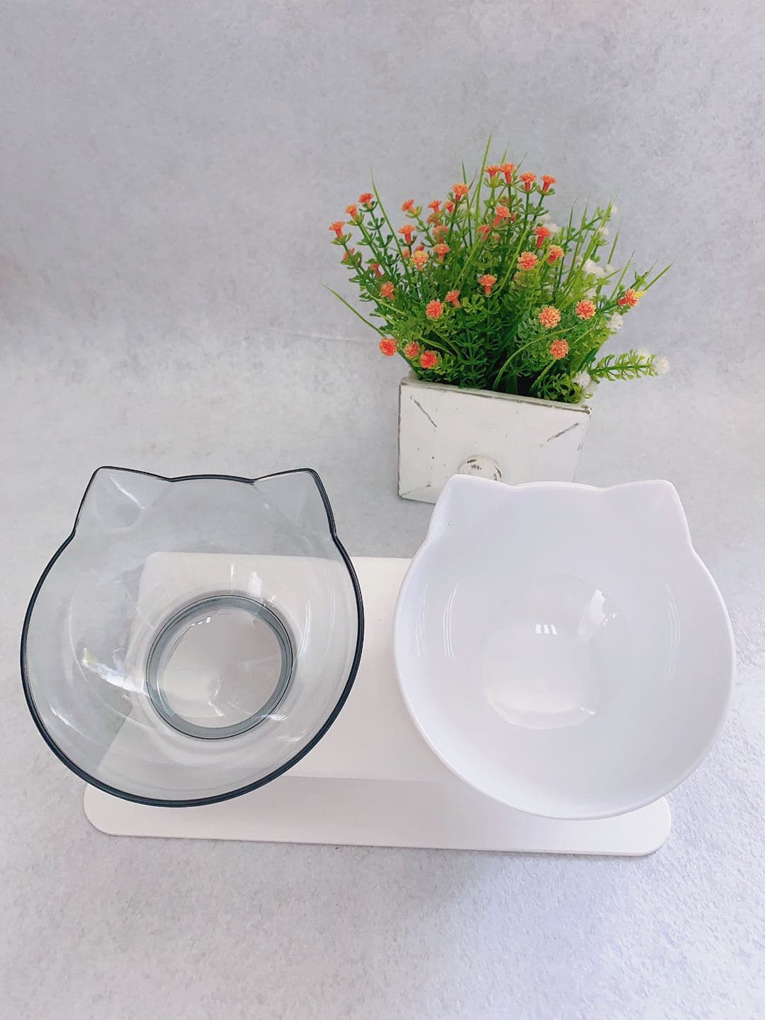 Comedero Elevado con Cuenco Transparente para Gatos