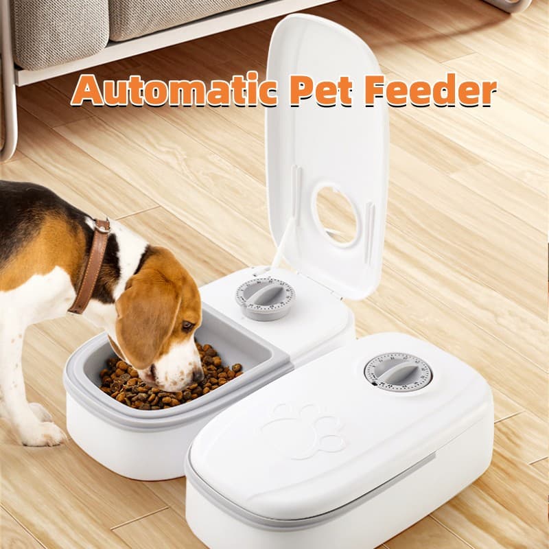 Comedero con Temporizador Mecánico para Gatos
