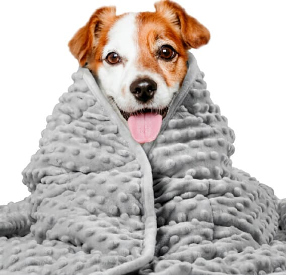 Manta Anti-Ansiedad ZenBlanket